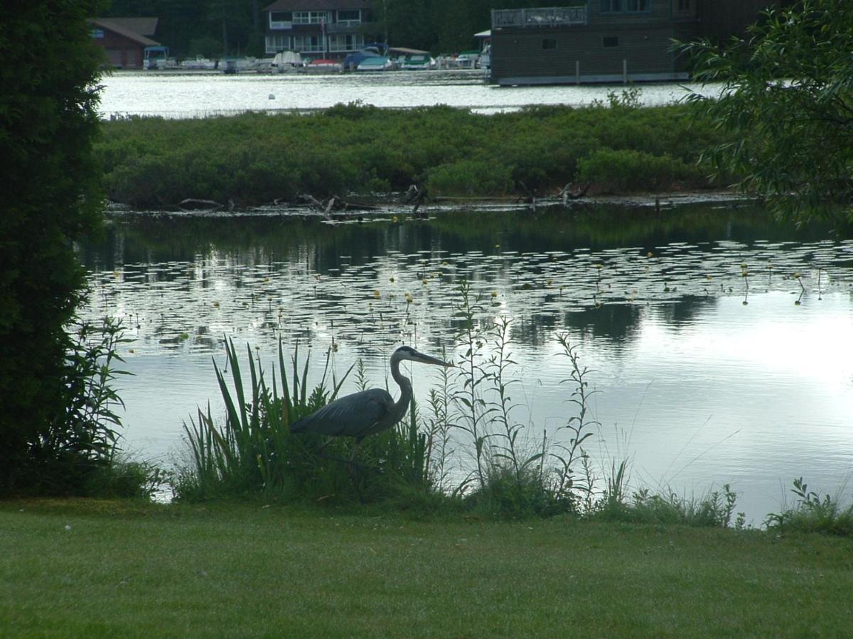 Wildwood On The Lake Lake Placid Eksteriør billede